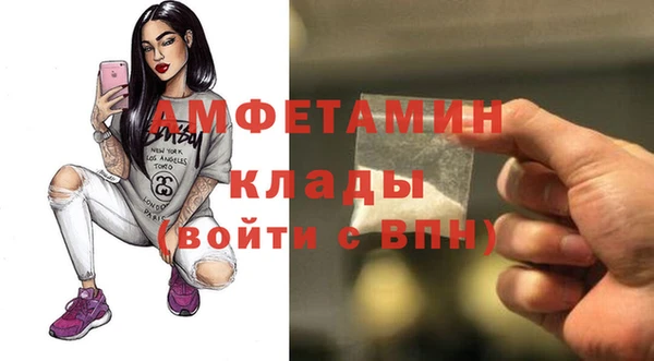 индика Алзамай